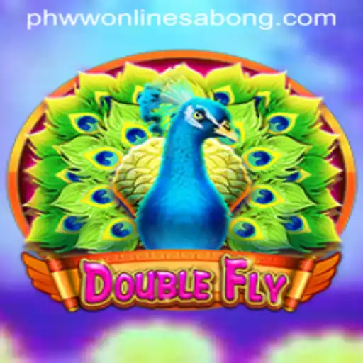 Understanding the Exciting World of DoubleFly